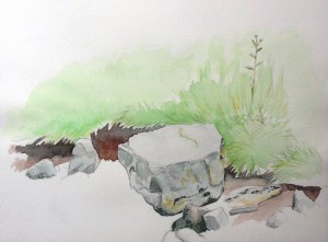 'Rocks and river bank, Treclastle road' watercolour and pencil on paper (June 2015)