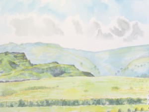 'Penwyllt' watercolour on paper (2013)